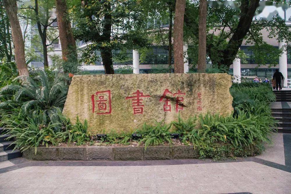 举重男子冠军石智勇_举重男子冠军李发彬_2020男子举重冠军