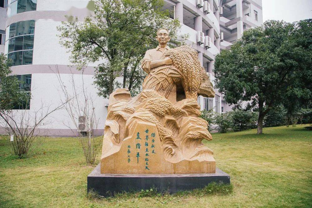 举重男子冠军石智勇_2020男子举重冠军_举重男子冠军李发彬