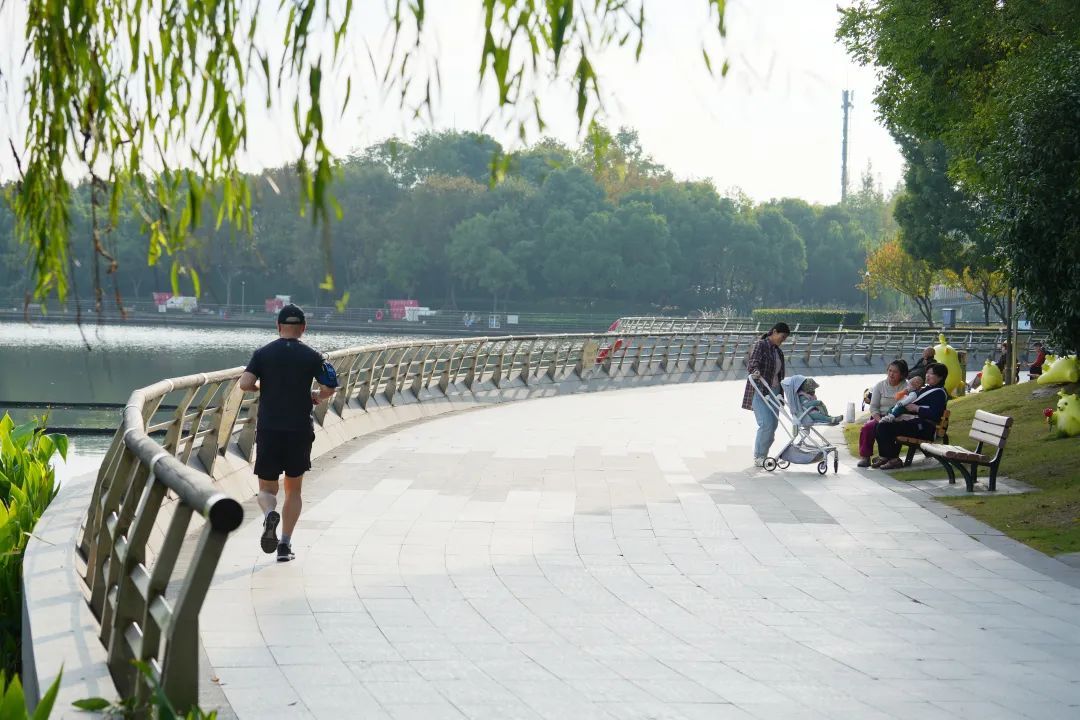 场地公园健身房图片_公园健身场地_公园健身的地方叫什么
