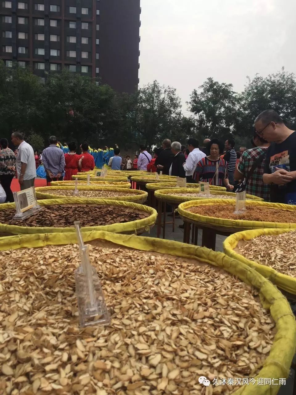 亳州亚健康治疗_亳州康复理疗中心_亳州亚欧生物科技有限公司最新